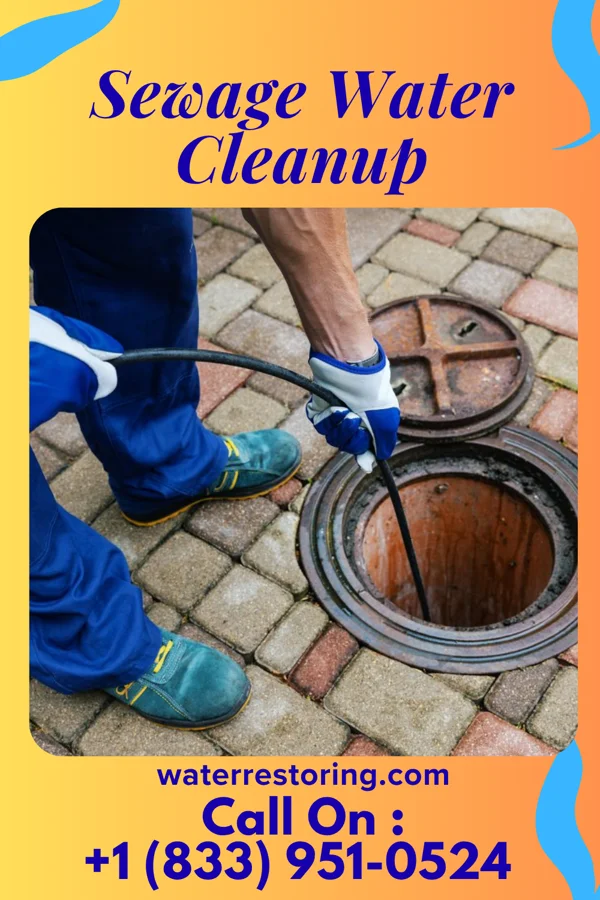 Sewage Water Cleanup in Fowlerton, IN
