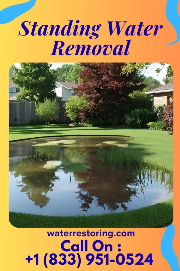 Standing Water Removal in Fowlerton, IN